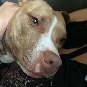 Meet your Posher, Reanna